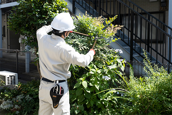 写真：植木の手入れ